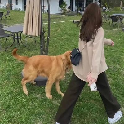 零号特工
