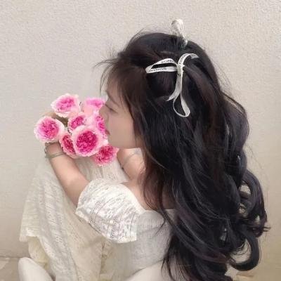 穿心虫